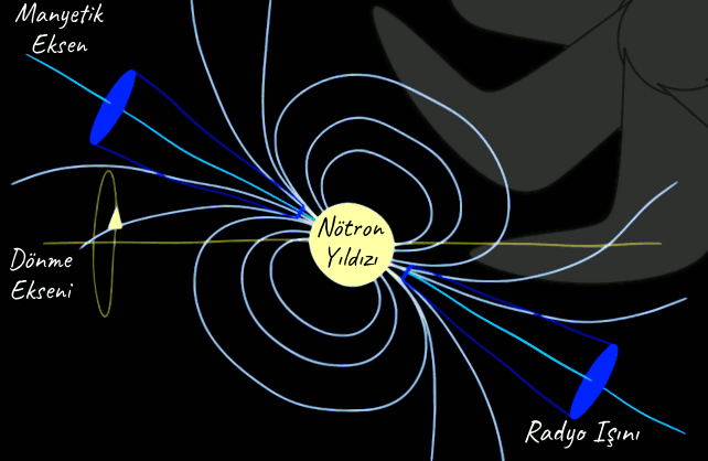 Bir Atarca (Nötron Yıldızı) Taslağı